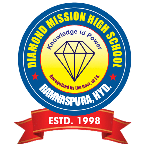 DIAMOND MISSION HIGH SCHOOL logo