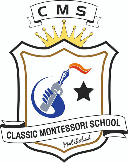 CLASSIC MONTESSORI HIGH SCHOOL logo