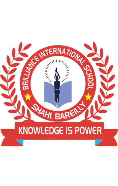 BRILLIANCE INTERNATIONAL SCHOOL logo