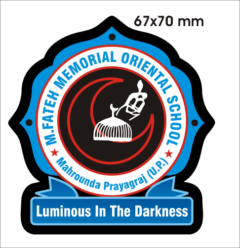 M.FATEH MEMORIAL ORIENTAL SCHOOL logo