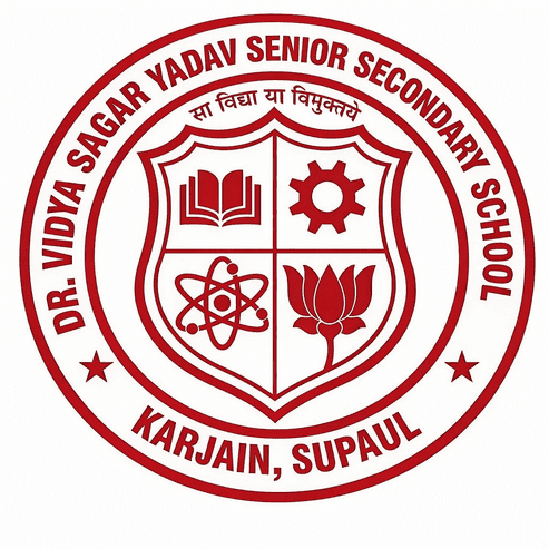 Dr. Vidya Sagar Yadav Senior Secondary School logo